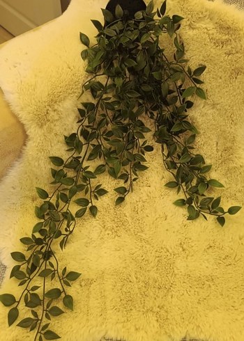 Koyu Yeşil Yapraklı Ev Dekoru - Görsel 2