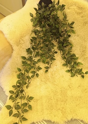 Koyu Yeşil Yapraklı Ev Dekoru - Görsel 3