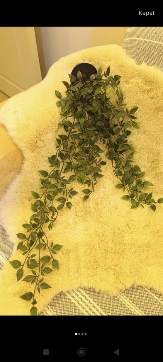 Koyu Yeşil Yapraklı Ev Dekoru - Görsel 3