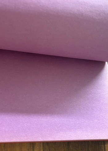 Kırmızı Kapaklı Siyah Kedi Desenli Defter - Görsel 2