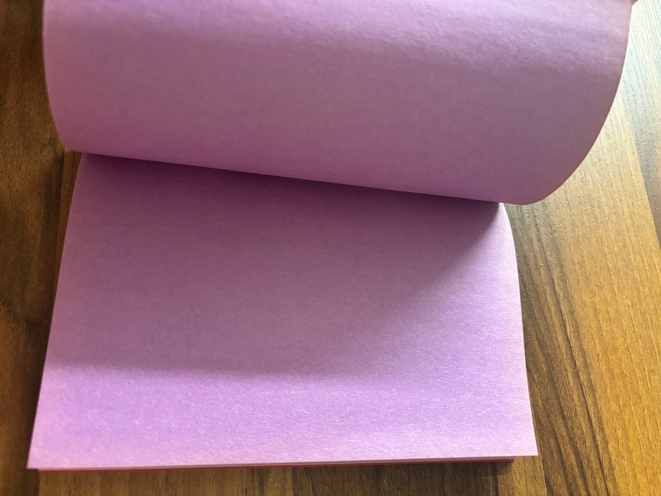 Kırmızı Kapaklı Siyah Kedi Desenli Defter - Görsel 2