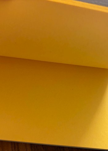 Kaktüs Desenli Defter - Görsel 3