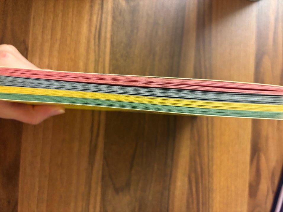 Kaktüs Desenli Defter - Görsel 2