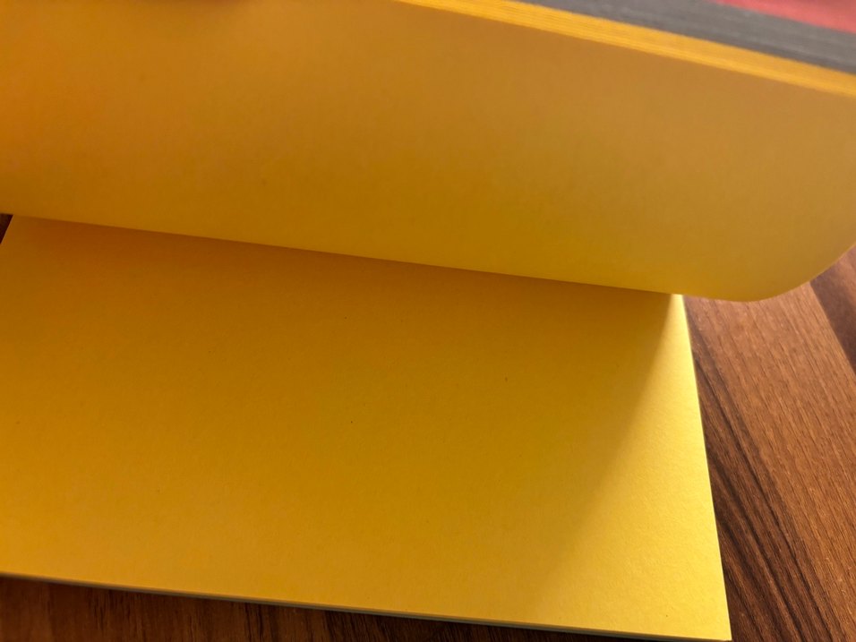 Kaktüs Desenli Defter - Görsel 3