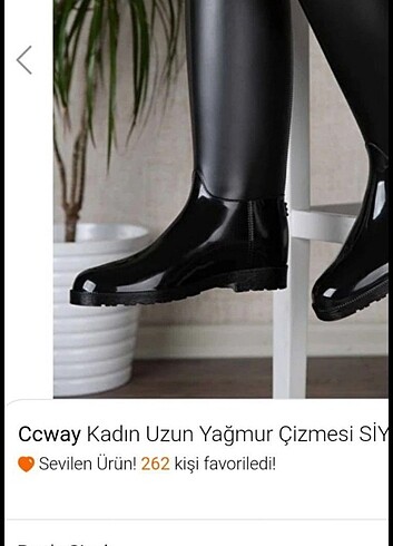 Diğer Bayan çizme