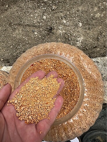 Beden Köy tarhanası