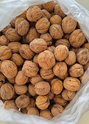 İnce kabuk içi beyaz ceviz (1 kilo)