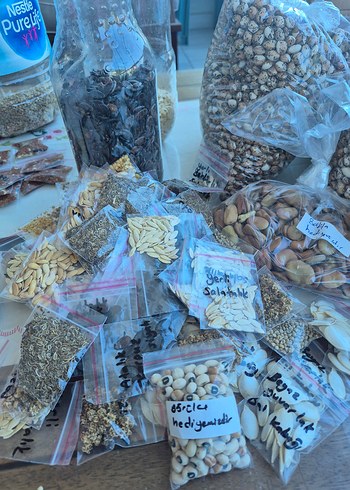 15 çeşit atalık tohum paketi