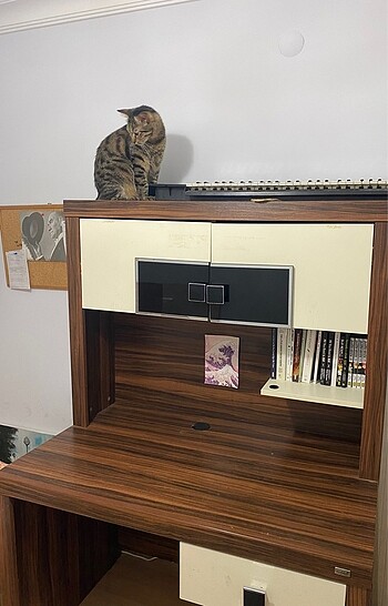  Beden Mondi çalışma masası
