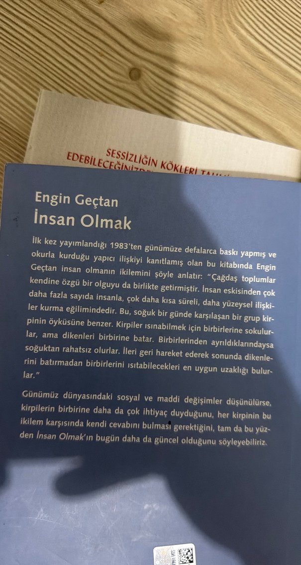 İnsan Olmak - Engin Geçtan - Görsel 2