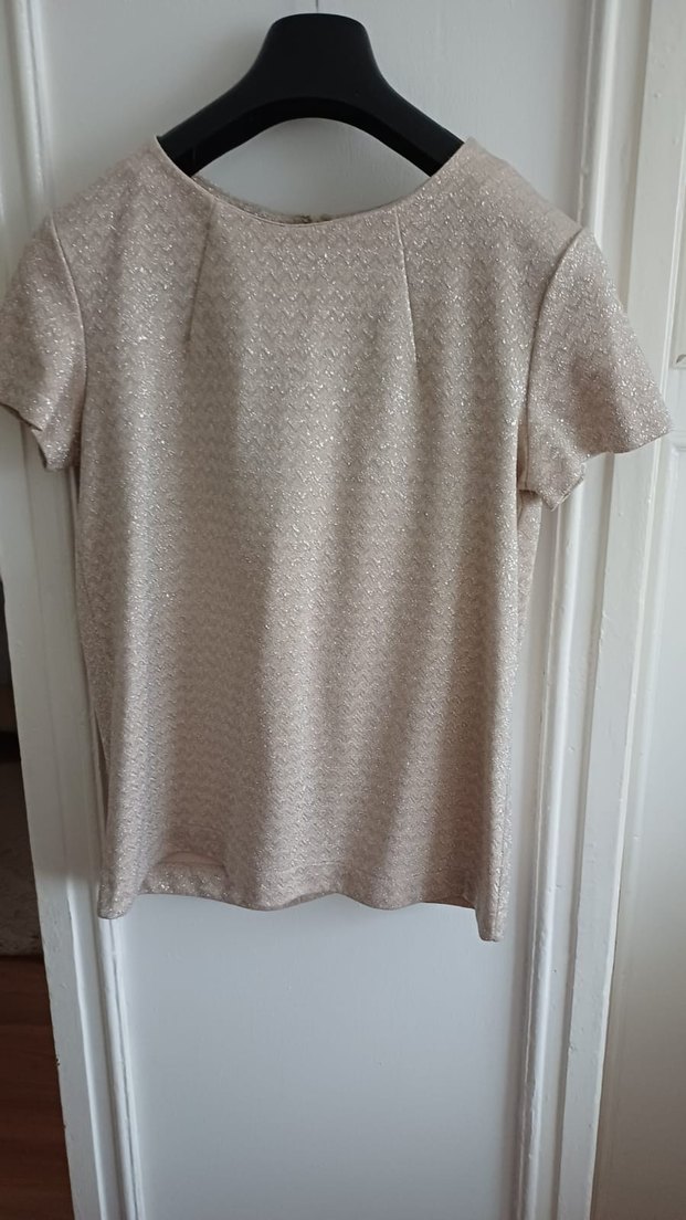 krem rengi ,simli ,çok şık  Kısa Kollu Kadın Bluz - Görsel 4