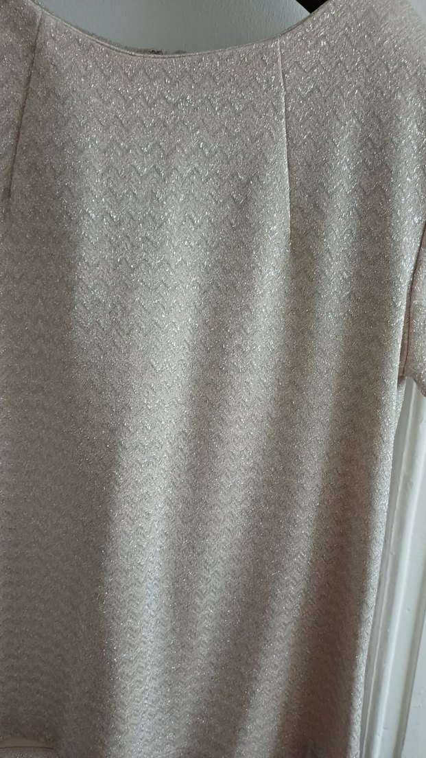 krem rengi ,simli ,çok şık  Kısa Kollu Kadın Bluz - Görsel 3