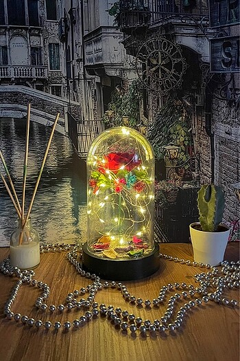 Kırmızı Gül Peri Led Işıklı Aşk Fanusu