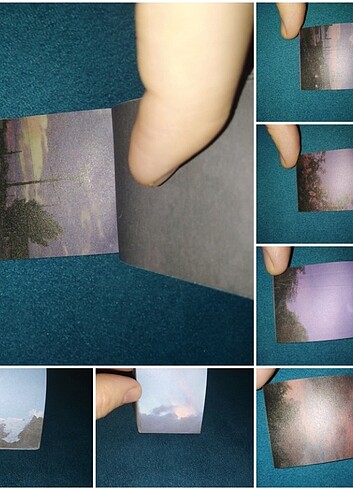 Beden Scrapbook Paper