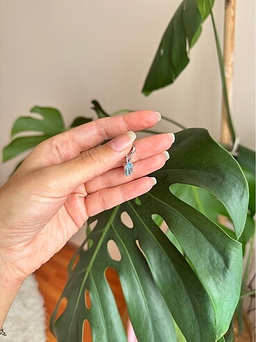 Pandora Pandora charm