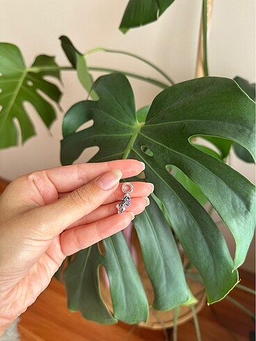 Pandora charm