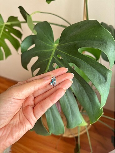 Pandora Pandora charm