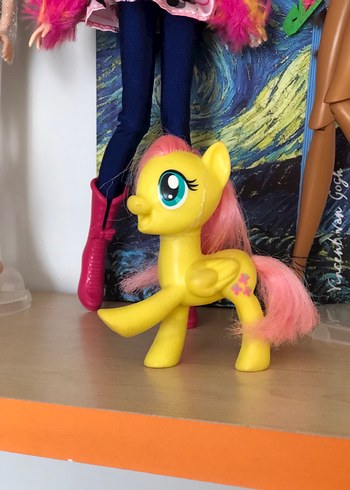 Fluttershy My Little Pony
