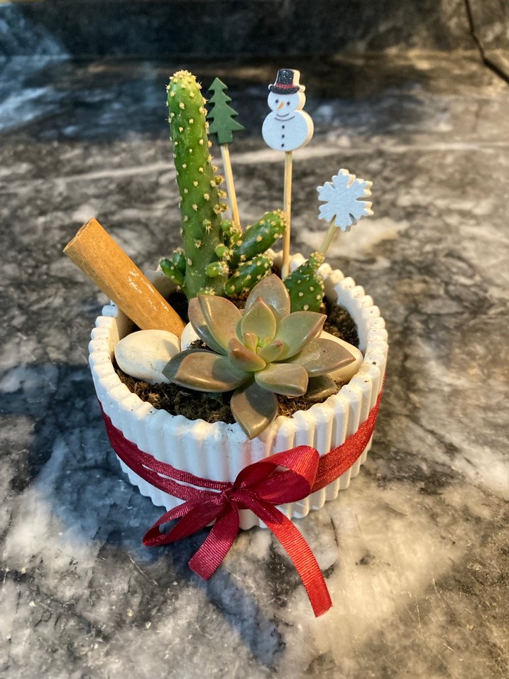 Beyaz Süslemeli Mini Sukulent Saksısı - Görsel 3