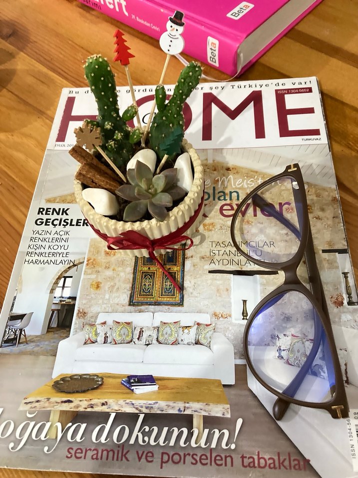 Beyaz Süslemeli Mini Sukulent Saksısı - Görsel 2