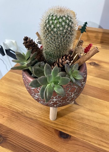 Ahşap Ayaklı Kahverengi Saksı - Görsel 2