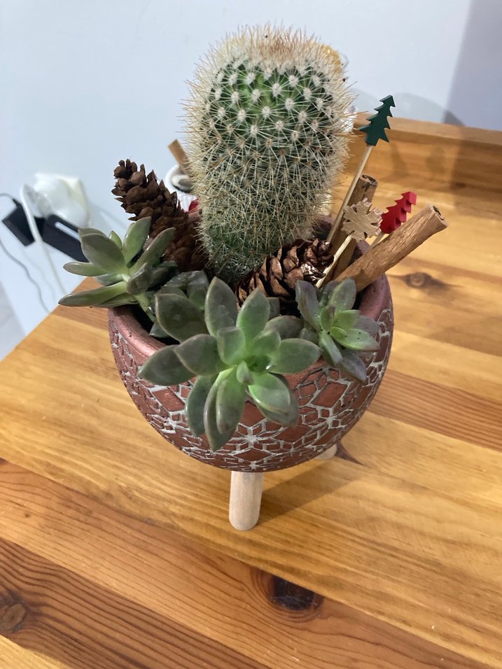 Ahşap Ayaklı Kahverengi Saksı - Görsel 2