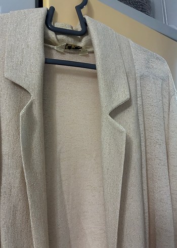 Bej Uzun Kollu Kadın simli hırka - Görsel 4