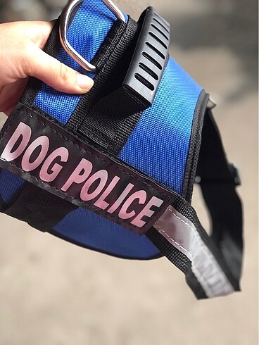 Köpek bel tasması