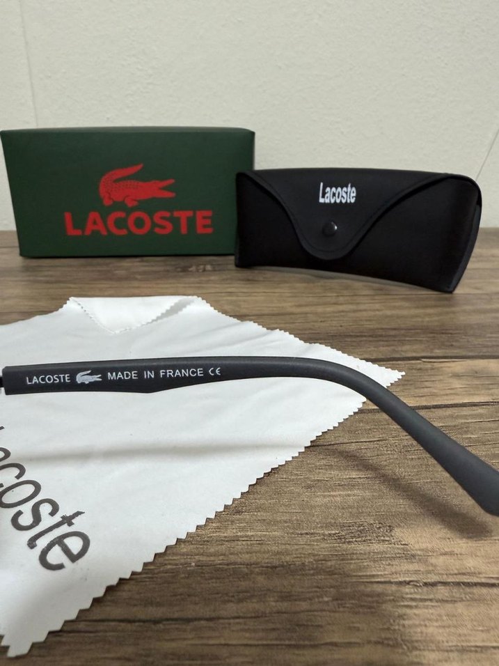 Lacoste Gri Klasik Erkek Güneş Gözlüğü - Görsel 4
