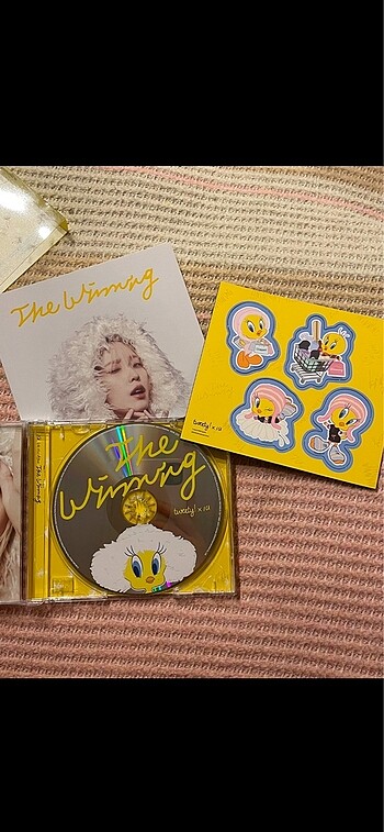 IU albüm - Görsel 2