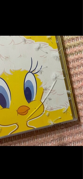 IU albüm - Görsel 3