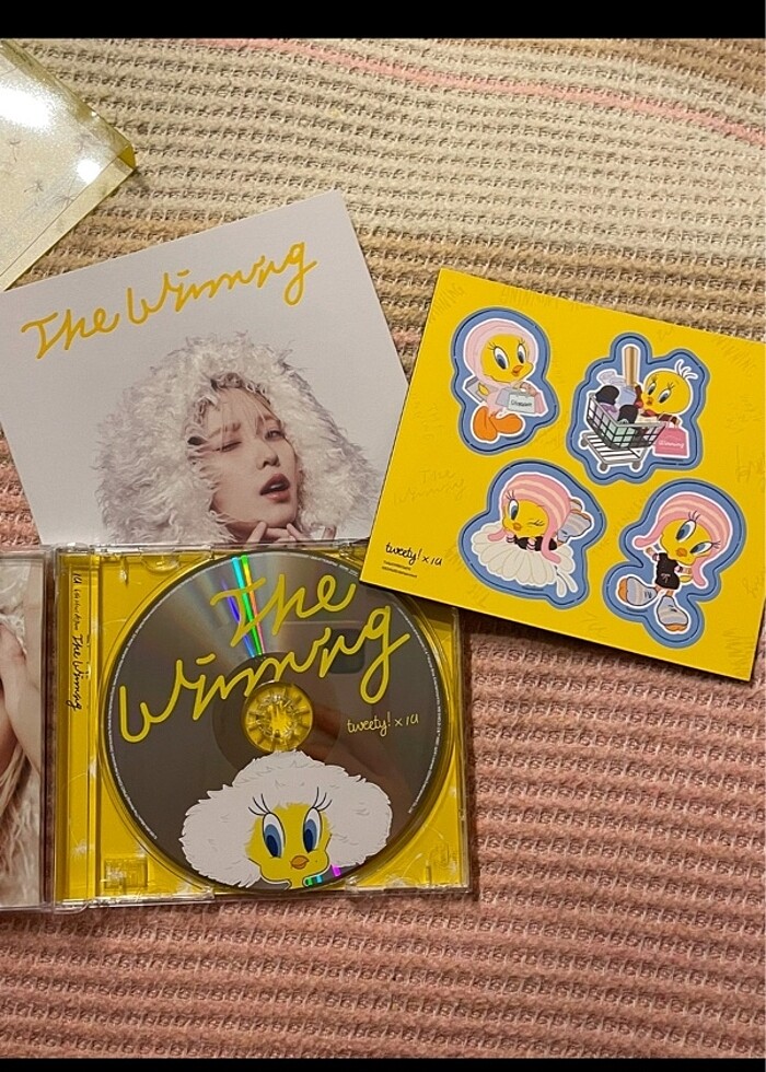 IU albüm - Görsel 2