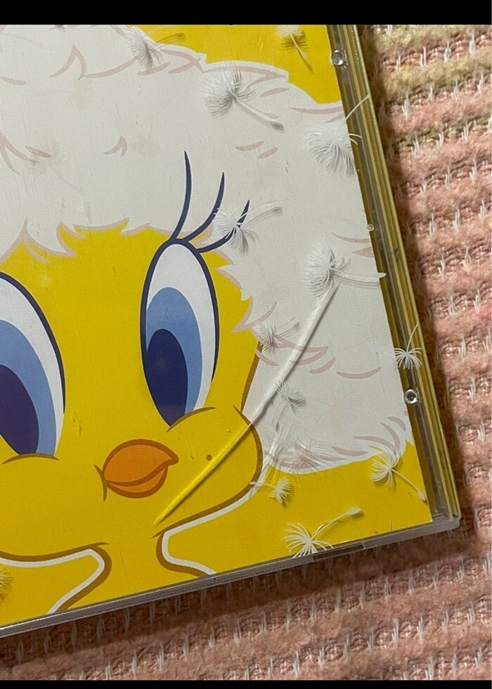 IU albüm - Görsel 3