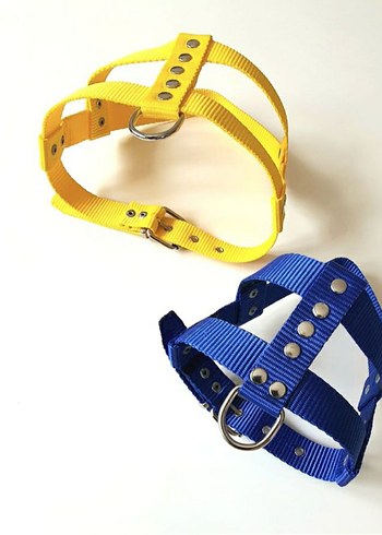 Orta Boy Köpekler İçin Sarı Göğüslük - Görsel 2