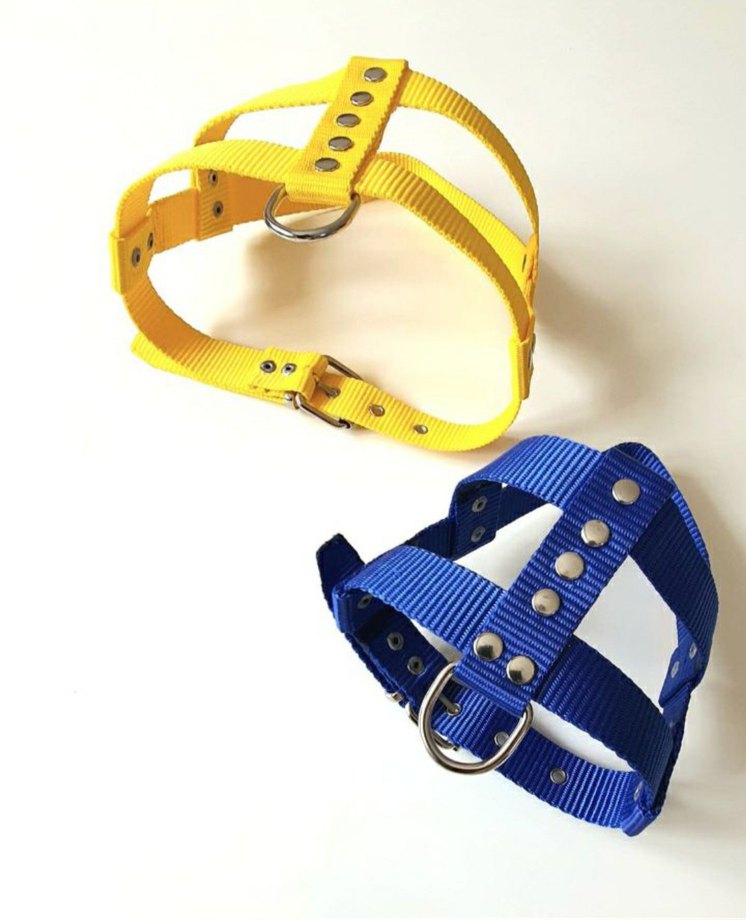 Orta Boy Köpekler İçin Sarı Göğüslük - Görsel 2