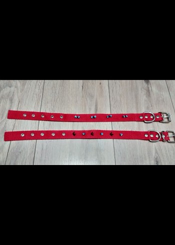 orta ırk kopek tasmasi - Görsel 2