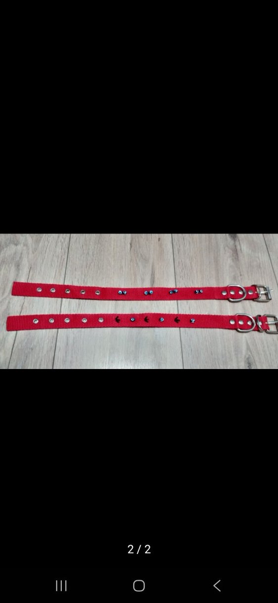 orta ırk kopek tasmasi - Görsel 2