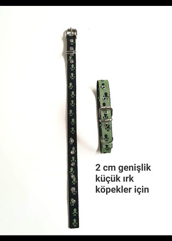1.5 cm Genişlikte kucuk îrk köpek tasma - Görsel 2