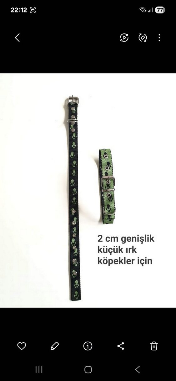 1.5 cm Genişlikte kucuk îrk köpek tasma - Görsel 2