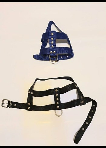 Köpekler için mavi göğüslük ve gezdirme kordonu - Görsel 2