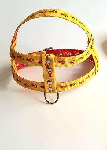 Köpek Göğüslük orta ırk - Görsel 2