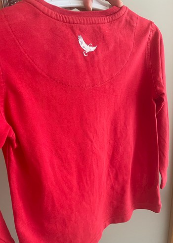 Sınav koleji 3-4 yaş - Görsel 3