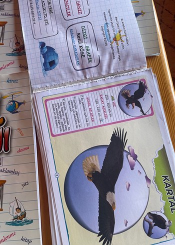 Mavi deniz 2. Sınıf - Görsel 2