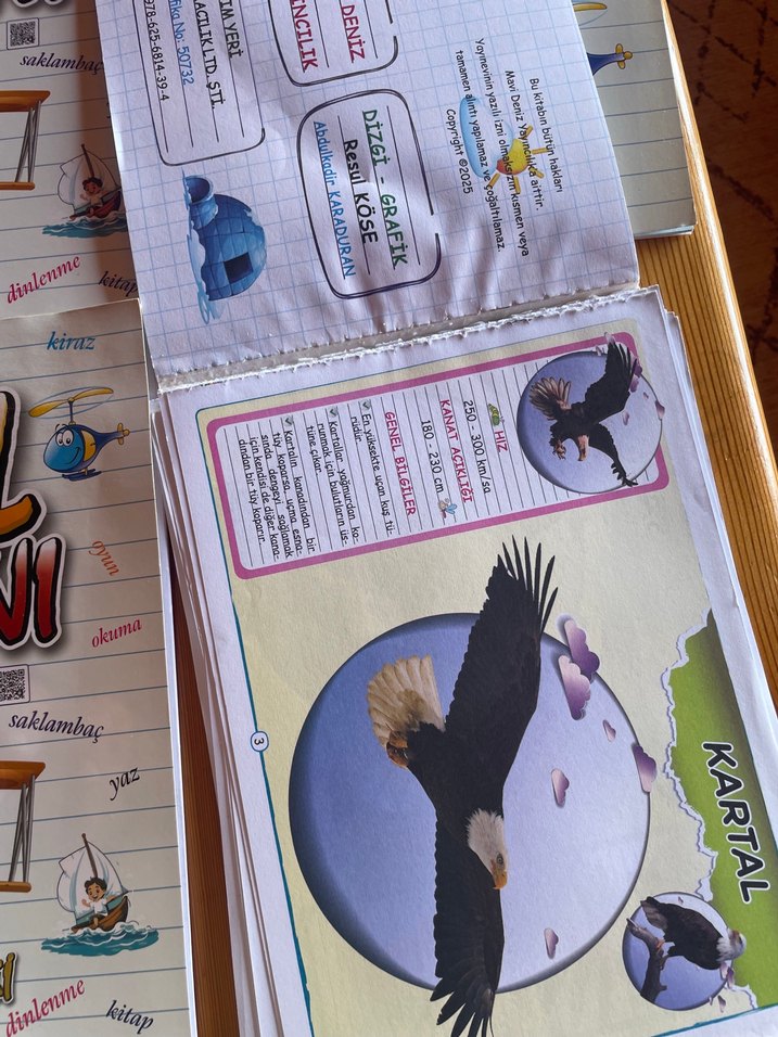 Mavi deniz 2. Sınıf - Görsel 2