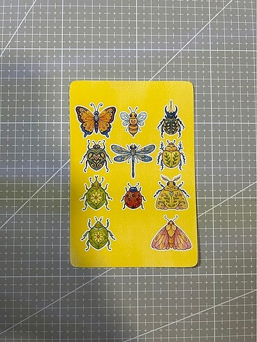 Renkli böcek stickerları