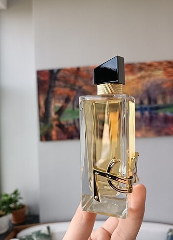  Beden Yves Saint Laurent libre