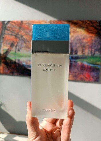 DOLCE GABBANA LİGHT BLUE 