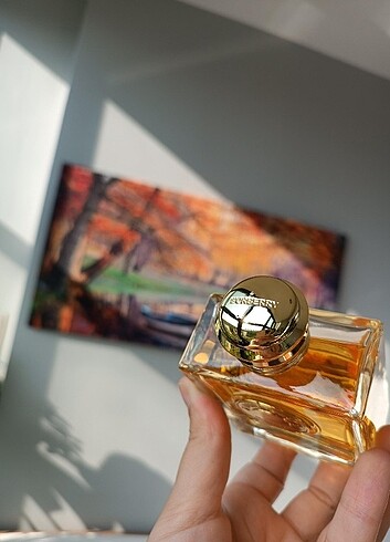 Beden Renk BURBERRY GODDES