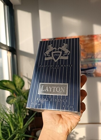 LAYTON 