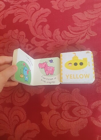 Beden Renk 2 Adet İngilizce Çocuk Bebek Kitabı